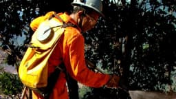 Bombeiro combate incêndio florestal (foto de arquivo)