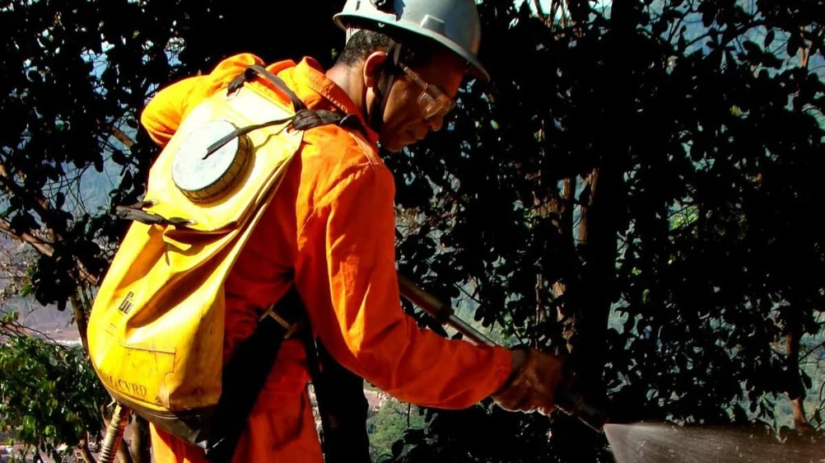 Bombeiro combate incêndio florestal (foto de arquivo)