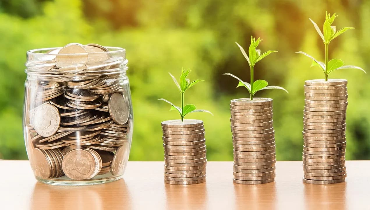 Imagem ilustrativa: money, profit, finance, business, return, yield, financial, cash, currency, bank, investment, banking, wealth, coin, economy, success, loan, exchange, credit, d
