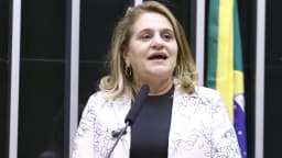 Silvia Massruhá, presidente da Embrapa, discursa na Câmara dos Deputados