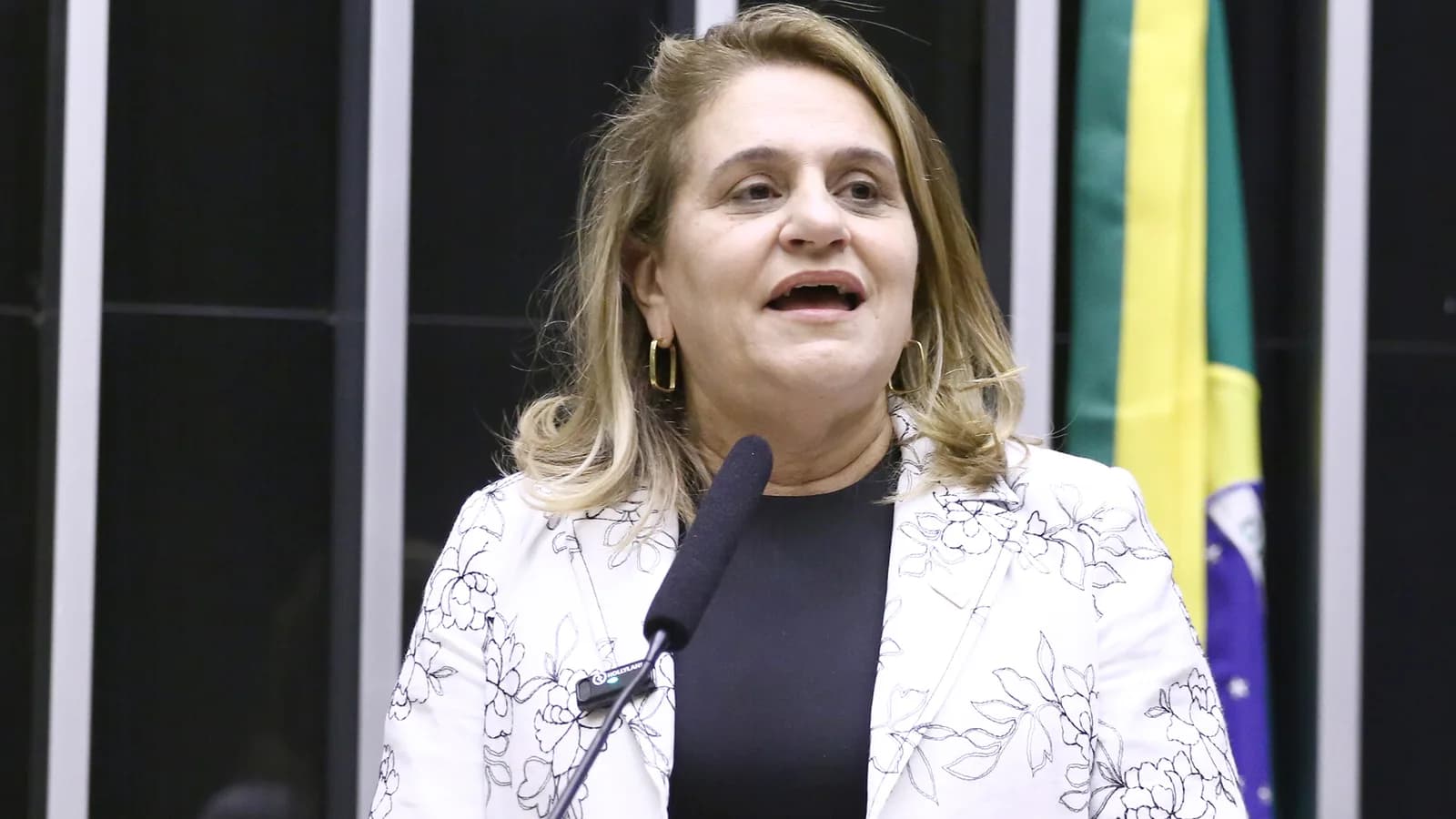 Silvia Massruhá, presidente da Embrapa, discursa na Câmara dos Deputados