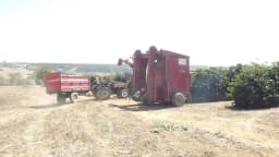 Trator e máquina colhedora em manobra no início da colheita mecanizada de café em Arapuá, Minas Gerais