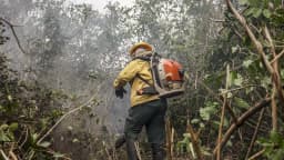 Brigadista com capacete e equipamento de combate a incêndio caminha em meio a vegetação com fumaça