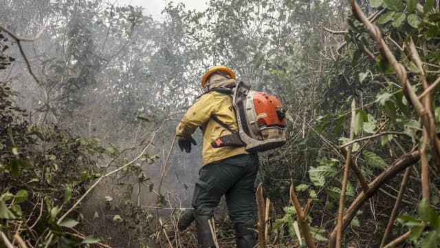 Brigadista com capacete e equipamento de combate a incêndio caminha em meio a vegetação com fumaça