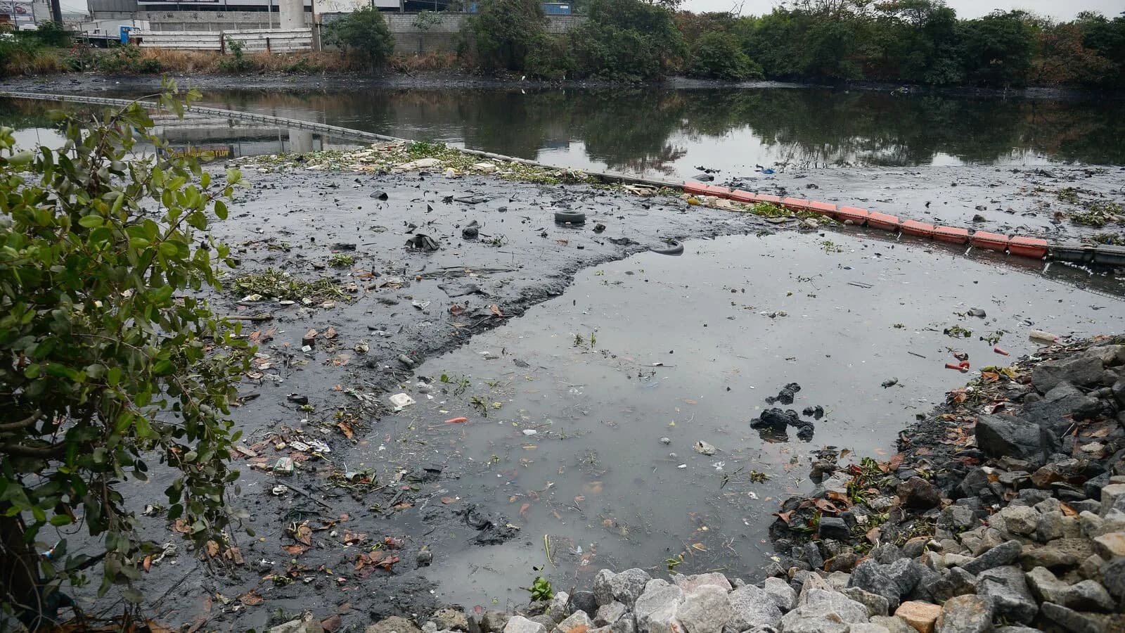 Ecobarreira retém lixo e poluição nas águas do Rio Meriti, no Rio de Janeiro