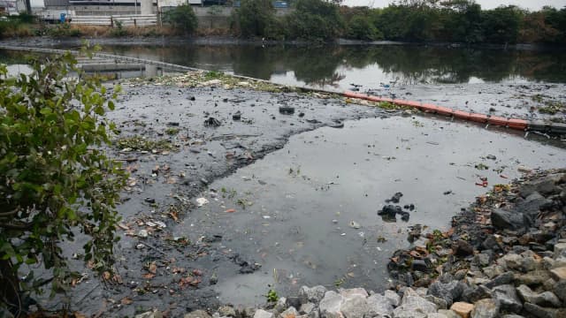 Ecobarreira retém lixo e poluição nas águas do Rio Meriti, no Rio de Janeiro