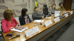 Sessão da Comissão Permanente Mista de Combate à Violência contra a Mulher no Senado Federal