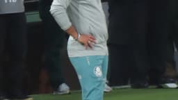 Técnico Abel Ferreira observa o jogo à beira do campo