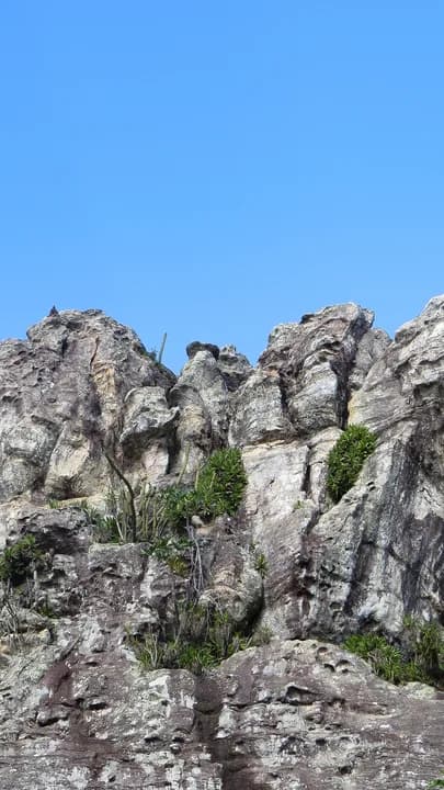 Vista da formação rochosa e vegetação nativa no Parque Estadual Biribiri de nível Estadual, localizado (a) em Diamantina (MG)