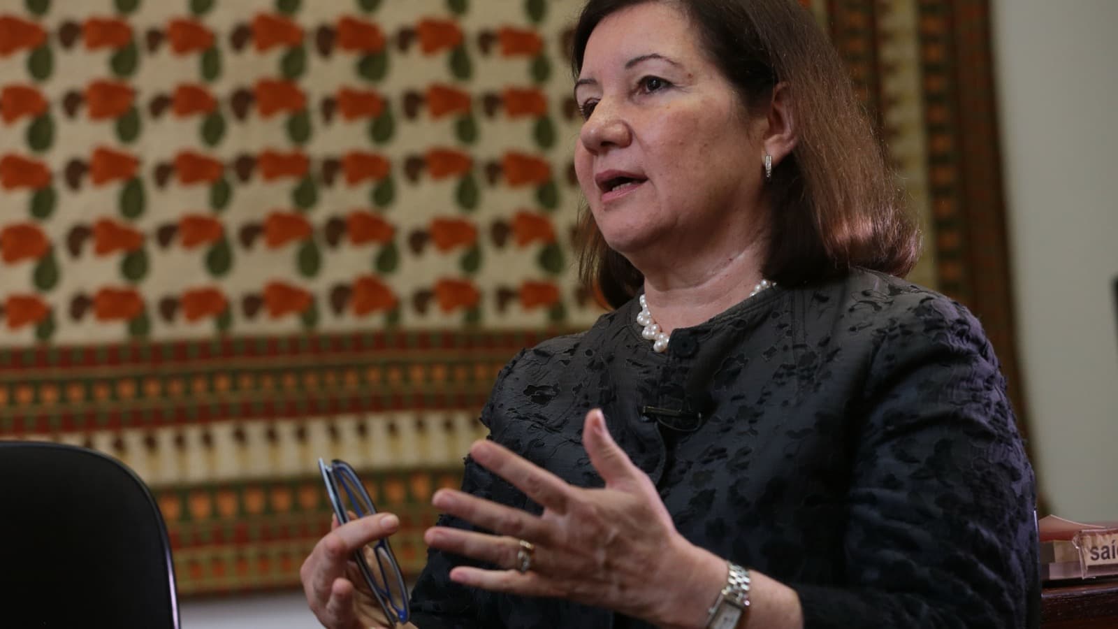 Maria Luiza Viotti gesticula durante entrevista, foto de arquivo de 2016