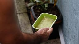 Mão verifica recipiente com água parada em busca de larvas do mosquito Aedes aegypti