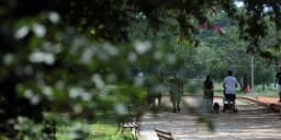 Pessoas caminham em parque arborizado sob sol forte, ilustrando clima seco e quente