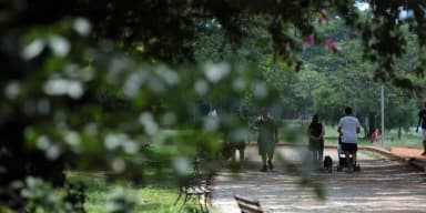 Pessoas caminham em parque arborizado sob sol forte, ilustrando clima seco e quente
