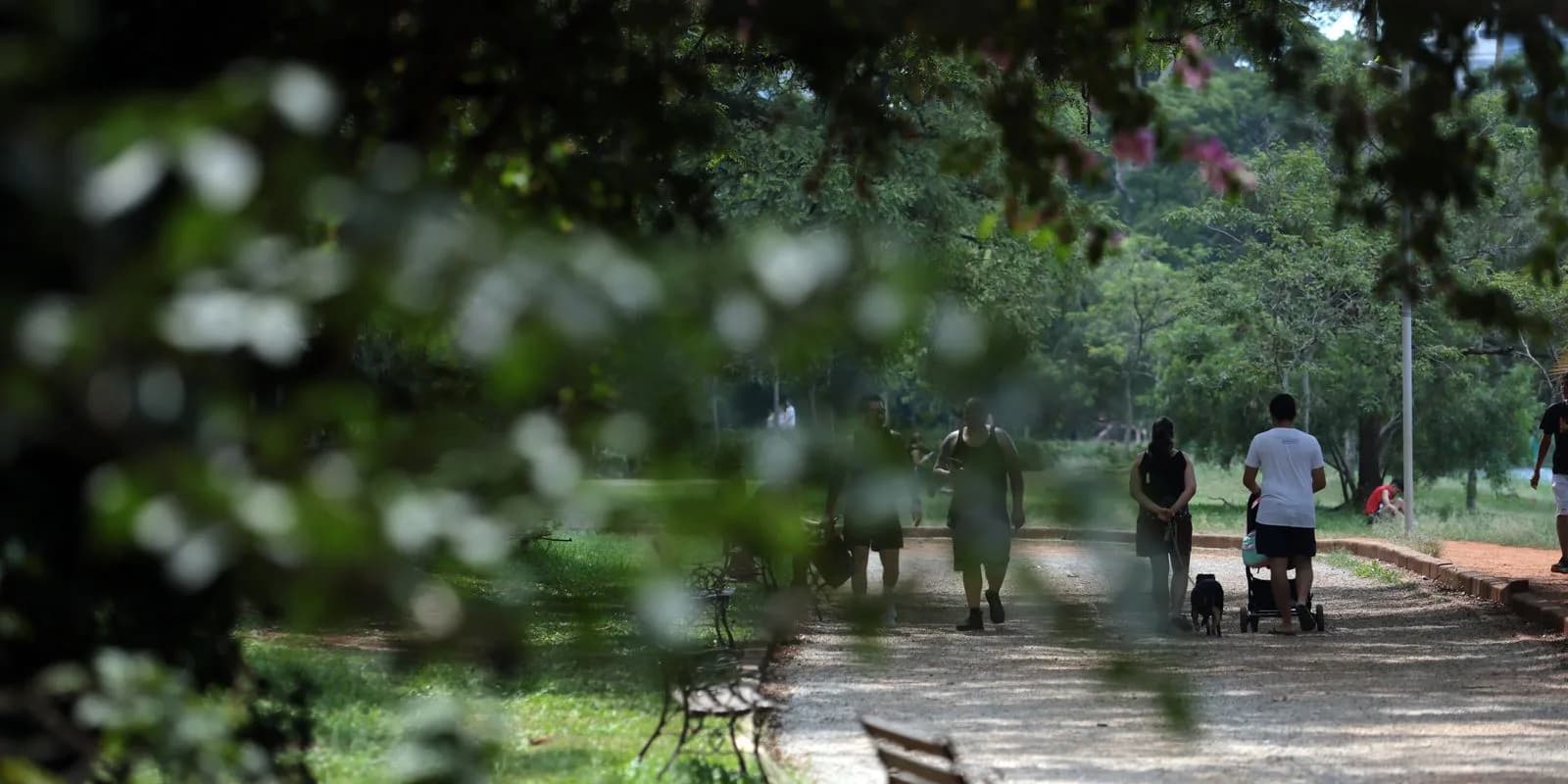 Pessoas caminham em parque arborizado sob sol forte, ilustrando clima seco e quente