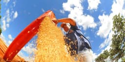 Produção de grãos pode chegar a 353,4 milhões de toneladas — Assuntos: Safra agrícola, recorde, Conab, Produção de Grãos