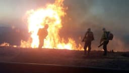 Brigadistas combatem incêndio florestal (foto de arquivo)