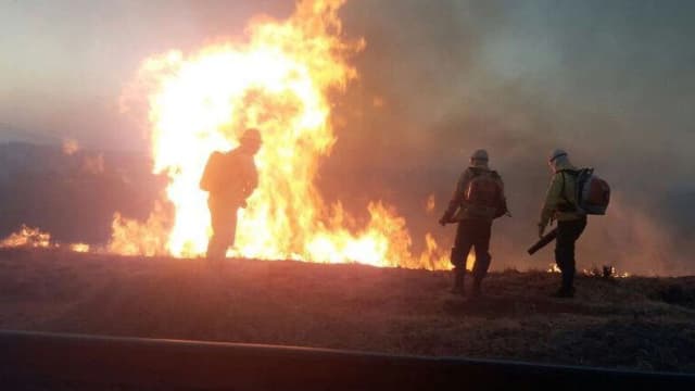 Brigadistas combatem incêndio florestal (foto de arquivo)