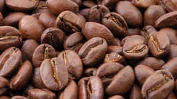 Grãos de café torrados em close
