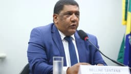 Belline Santana, ex-chefe de supervisão bancária do Banco Central, fala em microfone durante audiência pública na Câmara dos Deputados