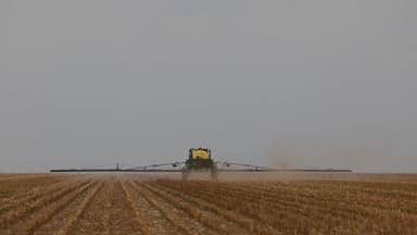 Máquina agrícola pulveriza lavoura de grãos, levantando poeira sob céu nublado