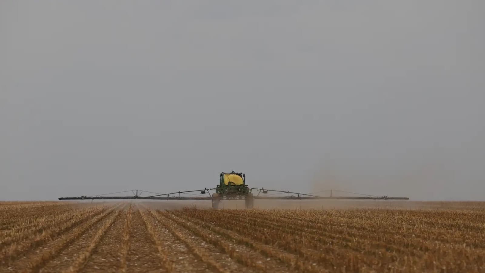 Máquina agrícola pulveriza lavoura de grãos, levantando poeira sob céu nublado
