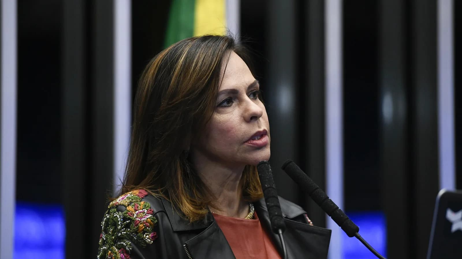 Professora Dorinha discursa ao microfone no plenário do Senado, em foto de arquivo