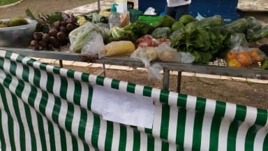 Banca de feira livre com verduras e legumes expostos, com aviso de papel escrito 'Pix' preso na barraca