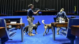 Policiais legislativas conduzem cães farejadores no plenário do Senado, em foto de arquivo do Serviço de Cinotecnia da Casa