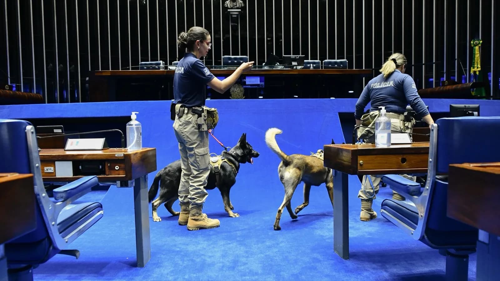 Policiais legislativas conduzem cães farejadores no plenário do Senado, em foto de arquivo do Serviço de Cinotecnia da Casa