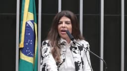 Antônia Lúcia discursa no plenário da Câmara dos Deputados, com a bandeira do Brasil ao fundo