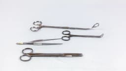 Instrumentos cirúrgicos de metal (pinças) sobre fundo branco