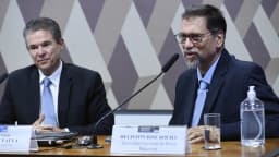 O ministro da Agricultura, André de Paula, fala em audiência no Senado ao lado de outro participante