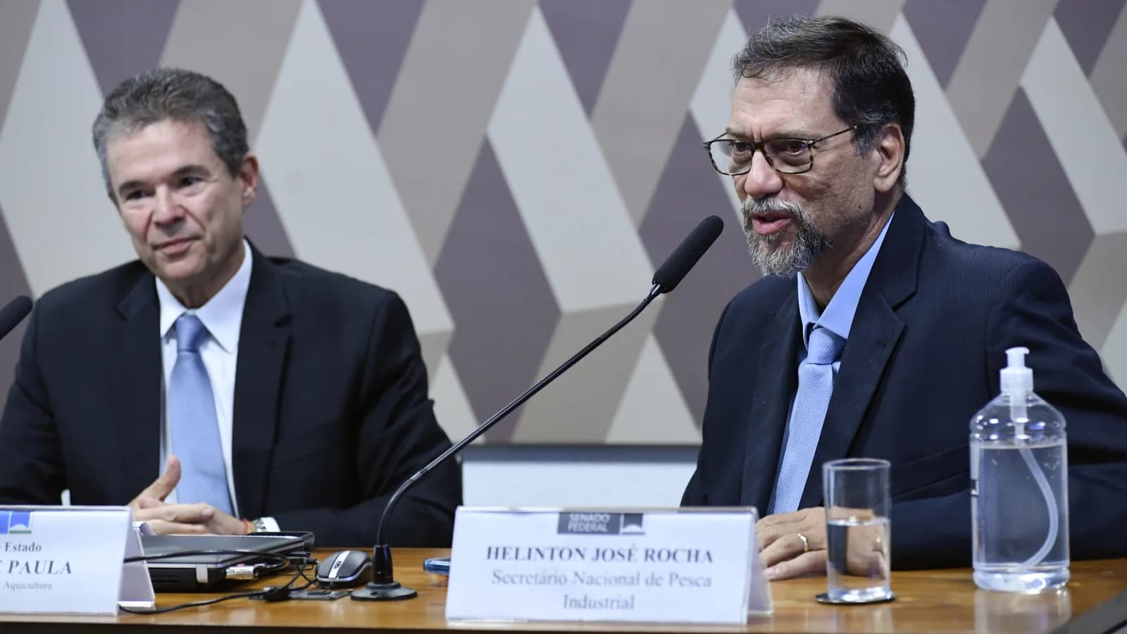 O ministro da Agricultura, André de Paula, fala em audiência no Senado ao lado de outro participante