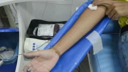 Braço de doador durante coleta de sangue em campanha de doação