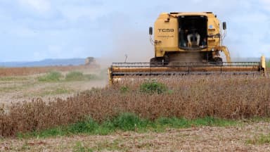 Colheitadeira amarela com operador colhe soja em plantação no interior do Mato Grosso