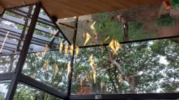 Interior de restaurante em Brasília com luminárias em formato de pássaro (foto de arquivo, outro estabelecimento)
