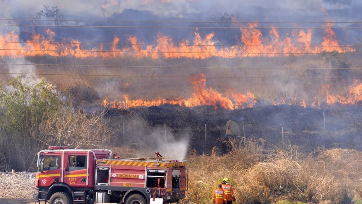 Bombeiros combatem incêndio com caminhão e mangueiras em meio a chamas altas (imagem de arquivo, não é do local do fato)