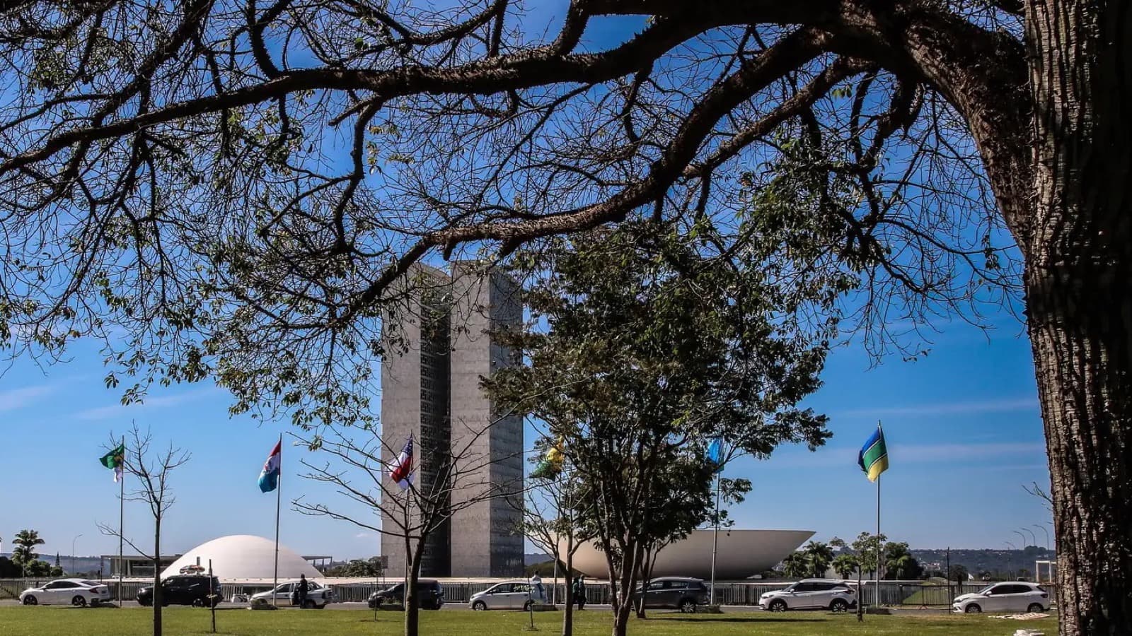 Fachada do Congresso Nacional, em Brasília, vista sob as árvores da Esplanada