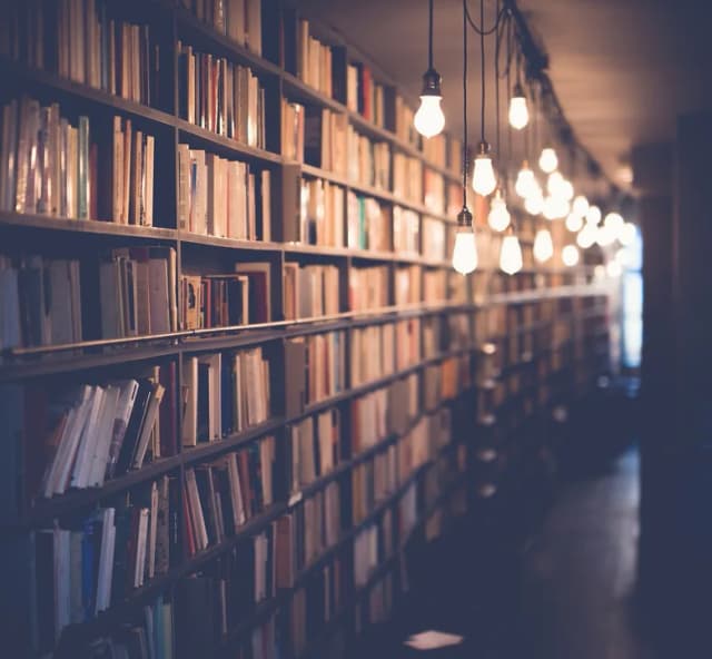 Imagem ilustrativa: books, library, room, school, study, knowledge, education, shelf, light, bulb, books, books, books, library, library, library, library, library, school, school,