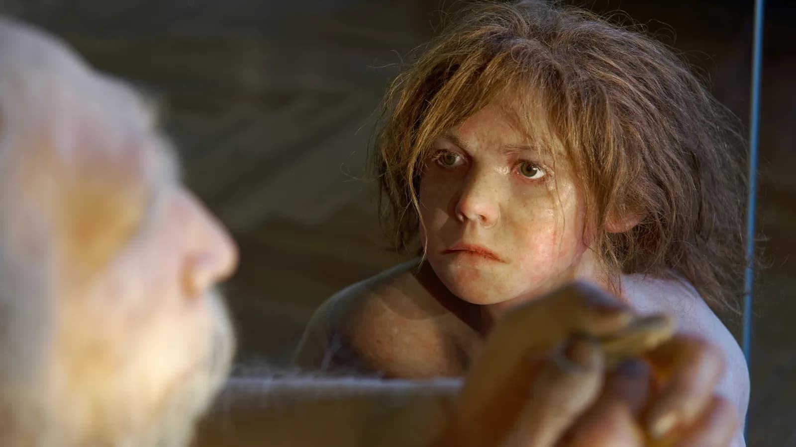 Reconstrução de um neandertal em exposição no Museu de História Natural de Viena