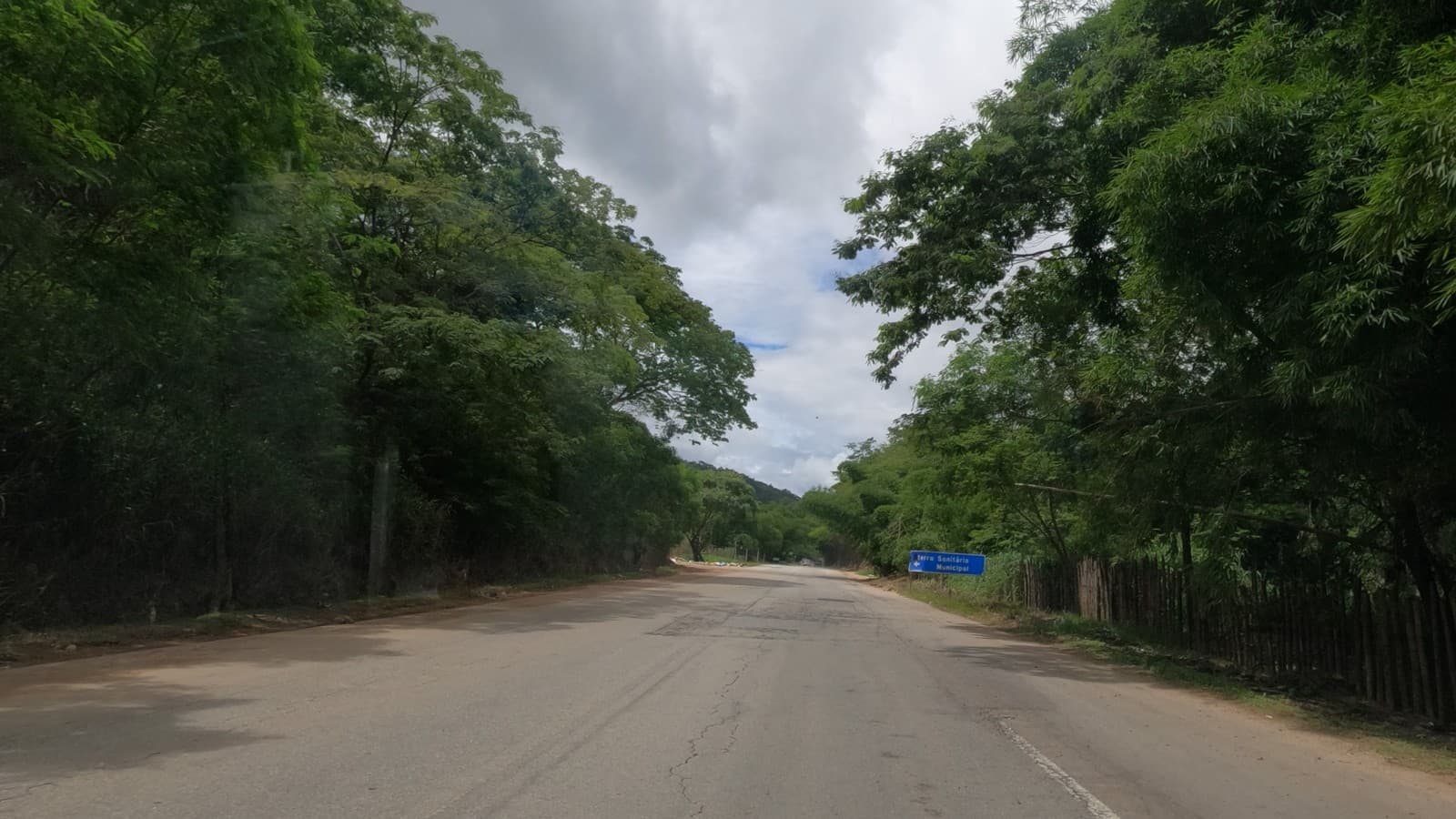 Trecho da rodovia BR-116 cercado de mata, na região de Teófilo Otoni, Minas Gerais