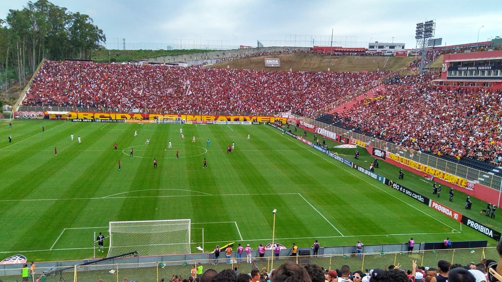 Estádio Barradão lotado durante jogo do Vitória (foto de arquivo)