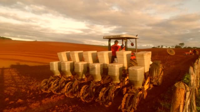 Plantadeira semeando soja em lavoura ao entardecer