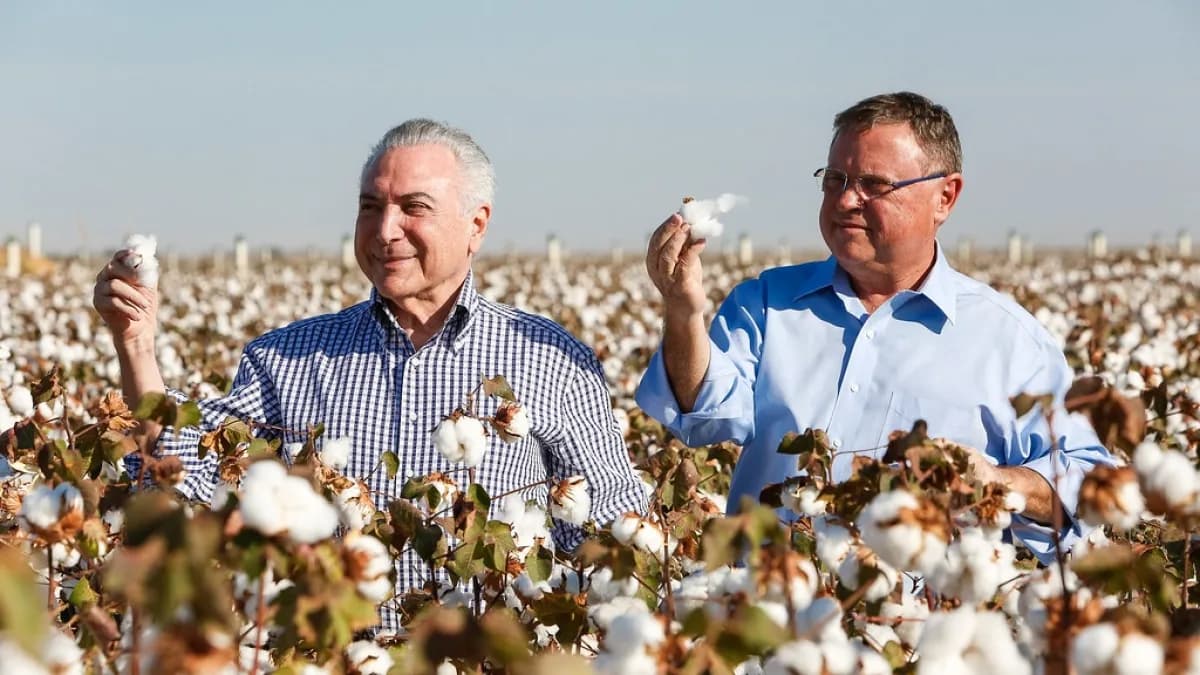 Colheita de algodão em campo de Mato Grosso, foto de arquivo de 2017
