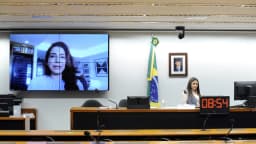 Audiência pública na Câmara dos Deputados sobre combate à desinformação eleitoral