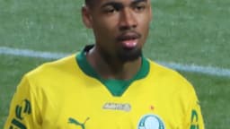 Allan em campo com a camisa reserva do Palmeiras