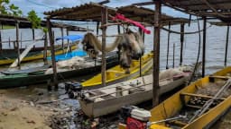 Barcos de pesca artesanal atracados durante o período de defeso