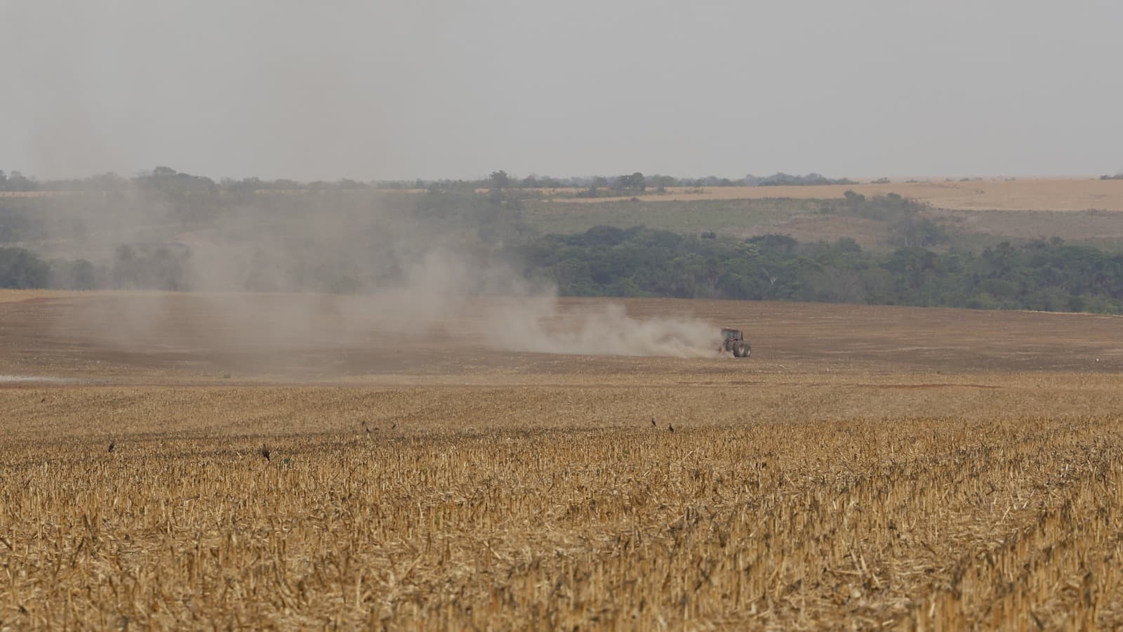 Trator levanta poeira ao trabalhar em fazenda de cultivo de soja às margens da rodovia MA-140, em Balsas, no Maranhão (foto de arquivo, outubro de 2025)
