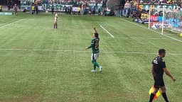 Raphael Veiga comemora gol pelo Palmeiras no Allianz Parque, em foto de arquivo