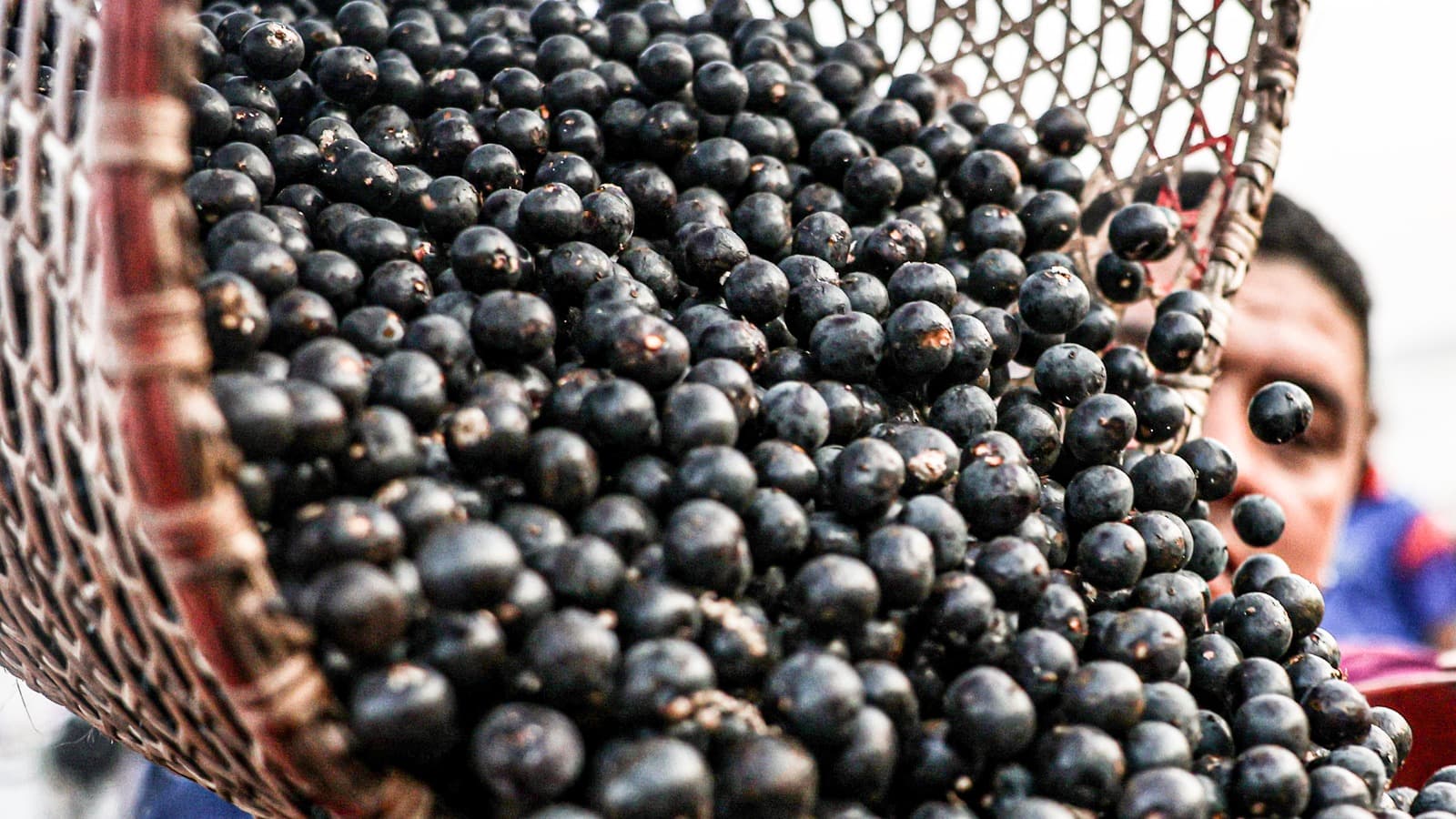 Foto de arquivo de caroços de açaí em cesto de palha no mercado do Ver-o-Peso, em Belém, no Pará, registrada em outubro de 2025